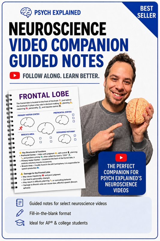 Neuroscience video companion guided notes cover